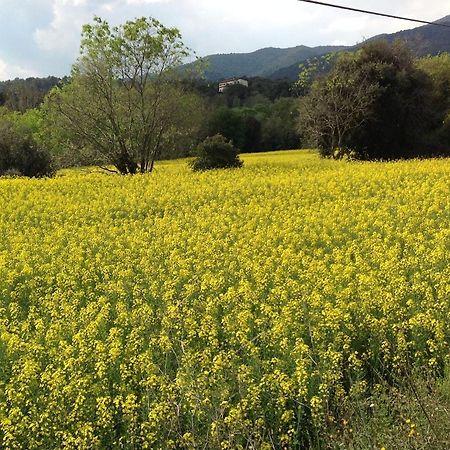 Casa Rural Can Panxa Sant Pere de Vilamajor Esterno foto
